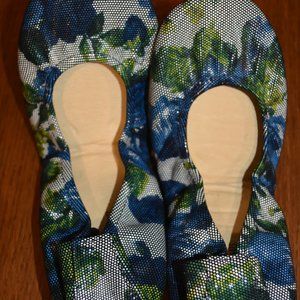 Ballet Slippers - The Storehouse Flats